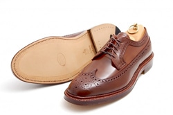 Alden Long Wing Blucher