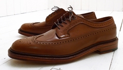 Alden Long Wing Blucher