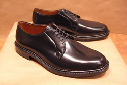 Alden Plain Toe Blucher Shoes