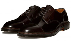 Alden Straight Tip Blucher Footwear