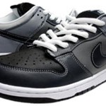 Nike Dunk Low Premium Footwear