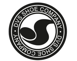 DVS Official Logo of the Company