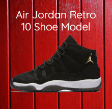Air Jordan Retro 10 Shoe Model